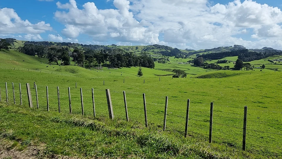 Rural Taupaki farmland